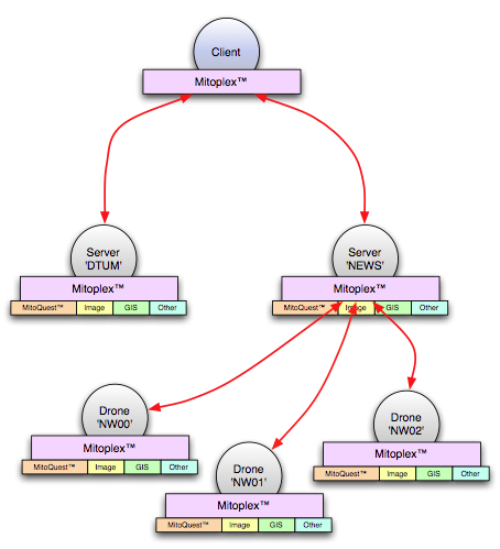 A simple example MitoPlex™  federated database architecture