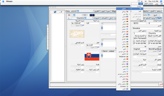 Dynamic software localization - Arabic appearance